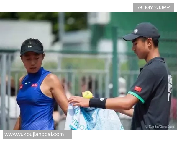 北京网球队进攻策略分析与效果评估探讨