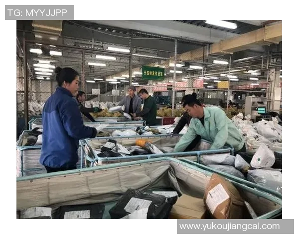 对话陈芳:回顾足球生涯中的挑战与成就分享 对话陈芳:回顾足球生涯中的挑战与成就分享