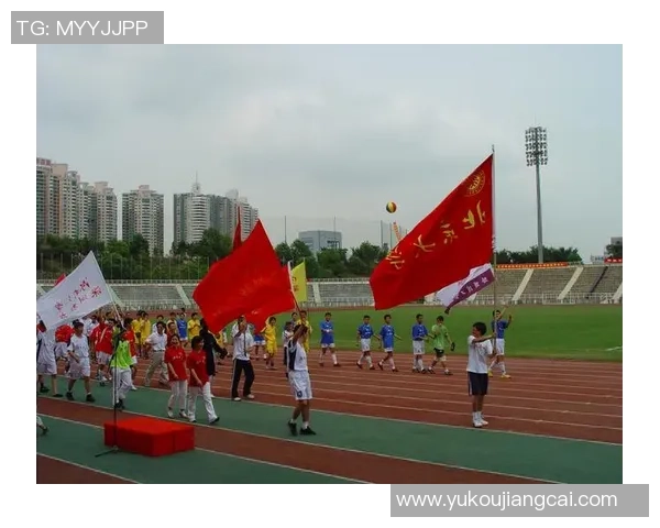 深圳极限运动队状态分析与表现评估的全面研究与探讨